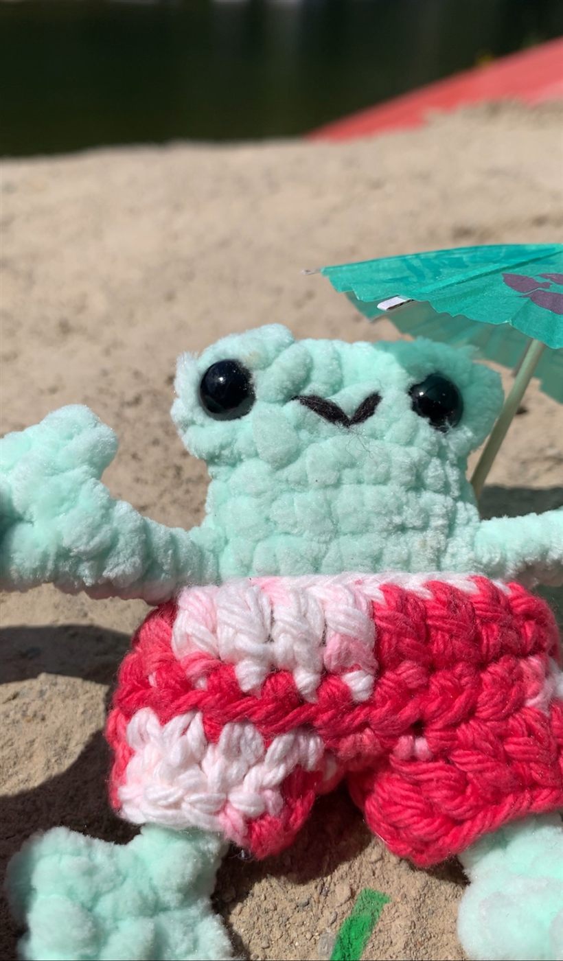 Froggie's Swim Shorts