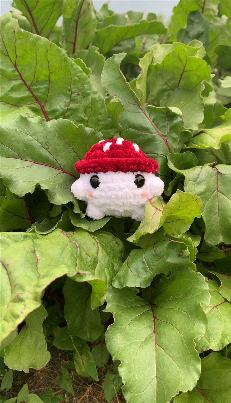 Little Chunky Mushroom